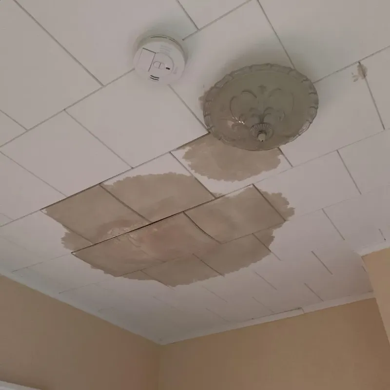 Ceiling Water Damage Repair in North Charleroi, PA
