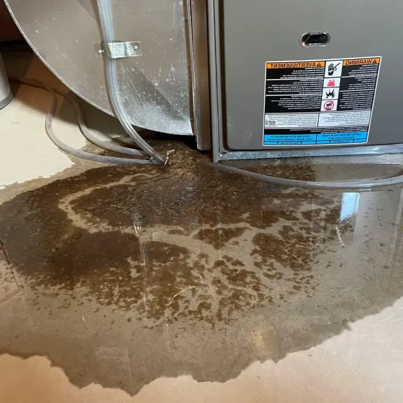 Pipe Burst and Leak Restoration in North Charleroi, PA