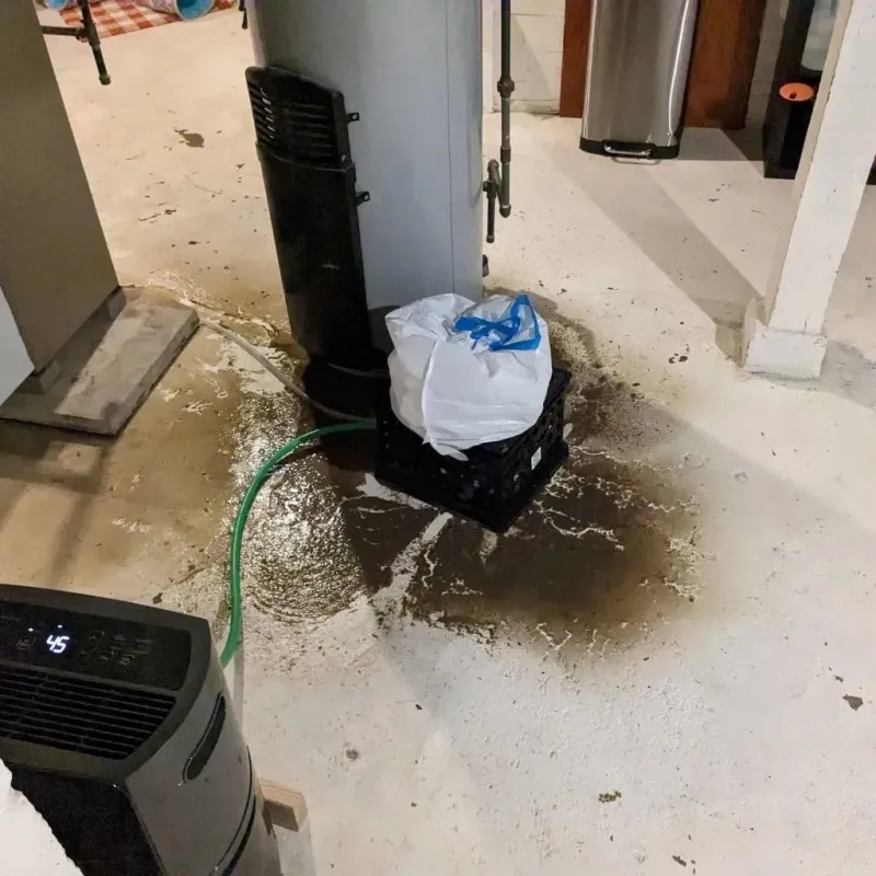 Sewage Backup Cleanup Service in North Charleroi, PA